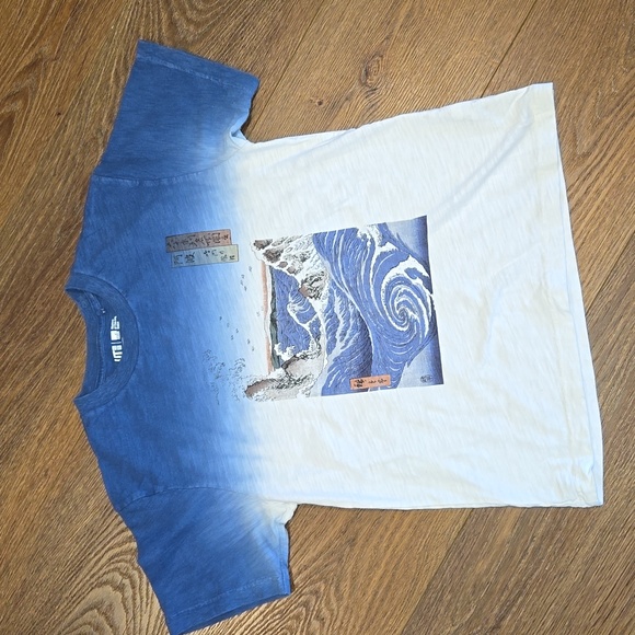 MUSEUM OF FINE ARTS BOSTON graphic tshirt.  #6257 - Picture 3 of 6